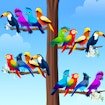 Bird Sort Color Puzzle Game