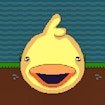 DuckWAK